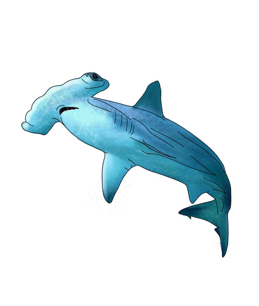Hammerhead shark vinyl sticker