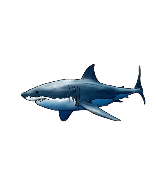 Great White shark vinyl sticker