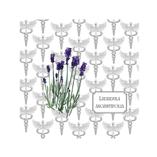 Healing Plants Greetings card