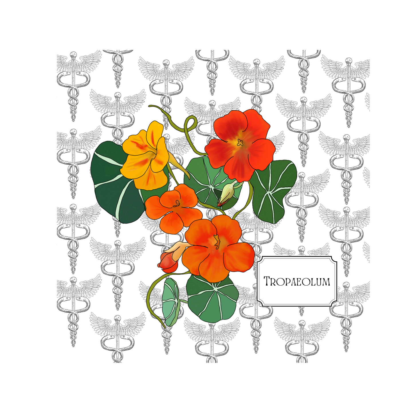 Healing Plants Greetings card