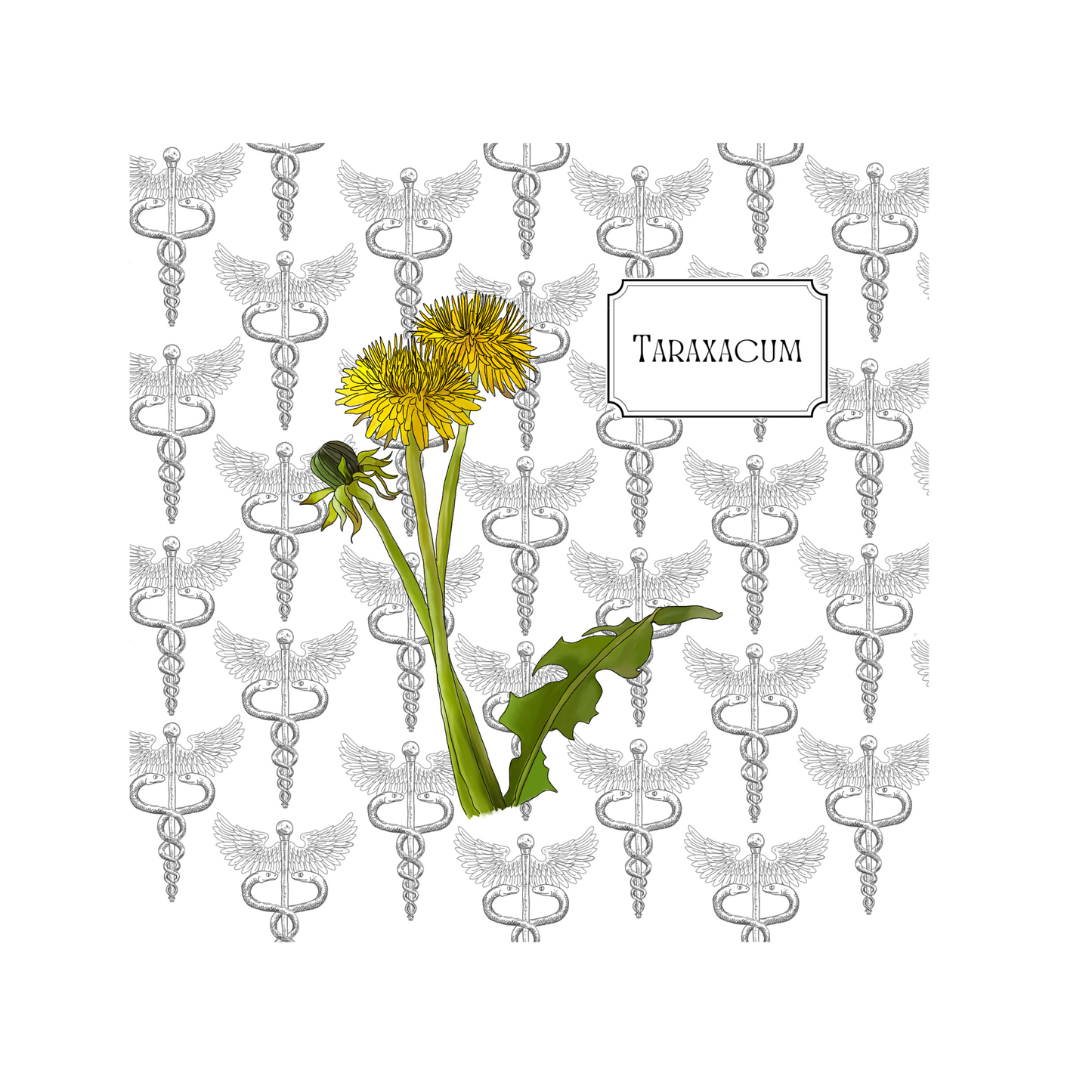 Healing Plants Greetings card