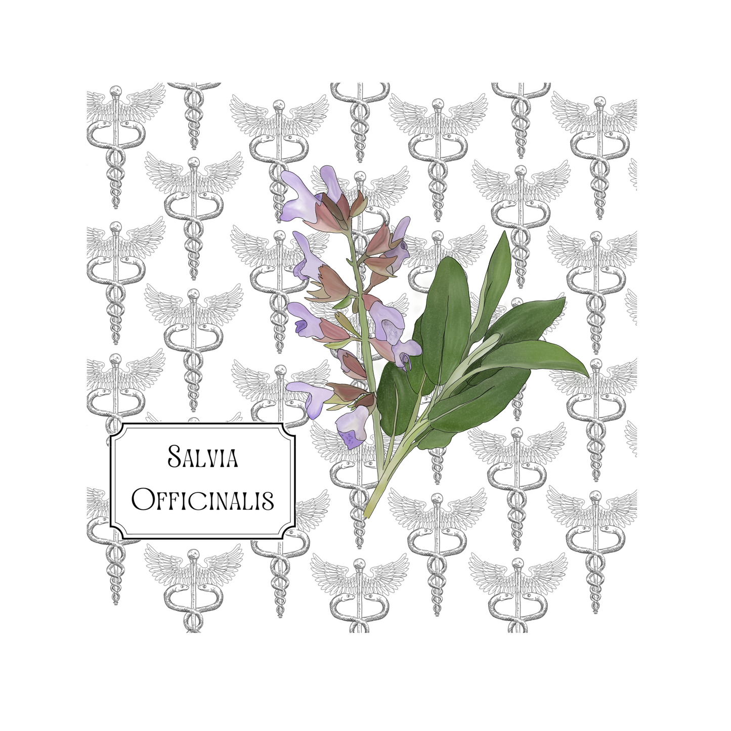 Healing Plants Greetings card
