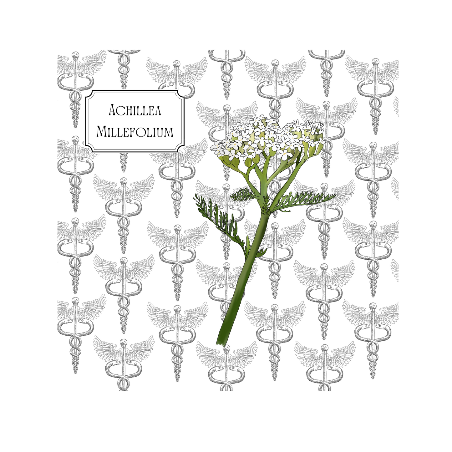 Healing Plants Greetings card