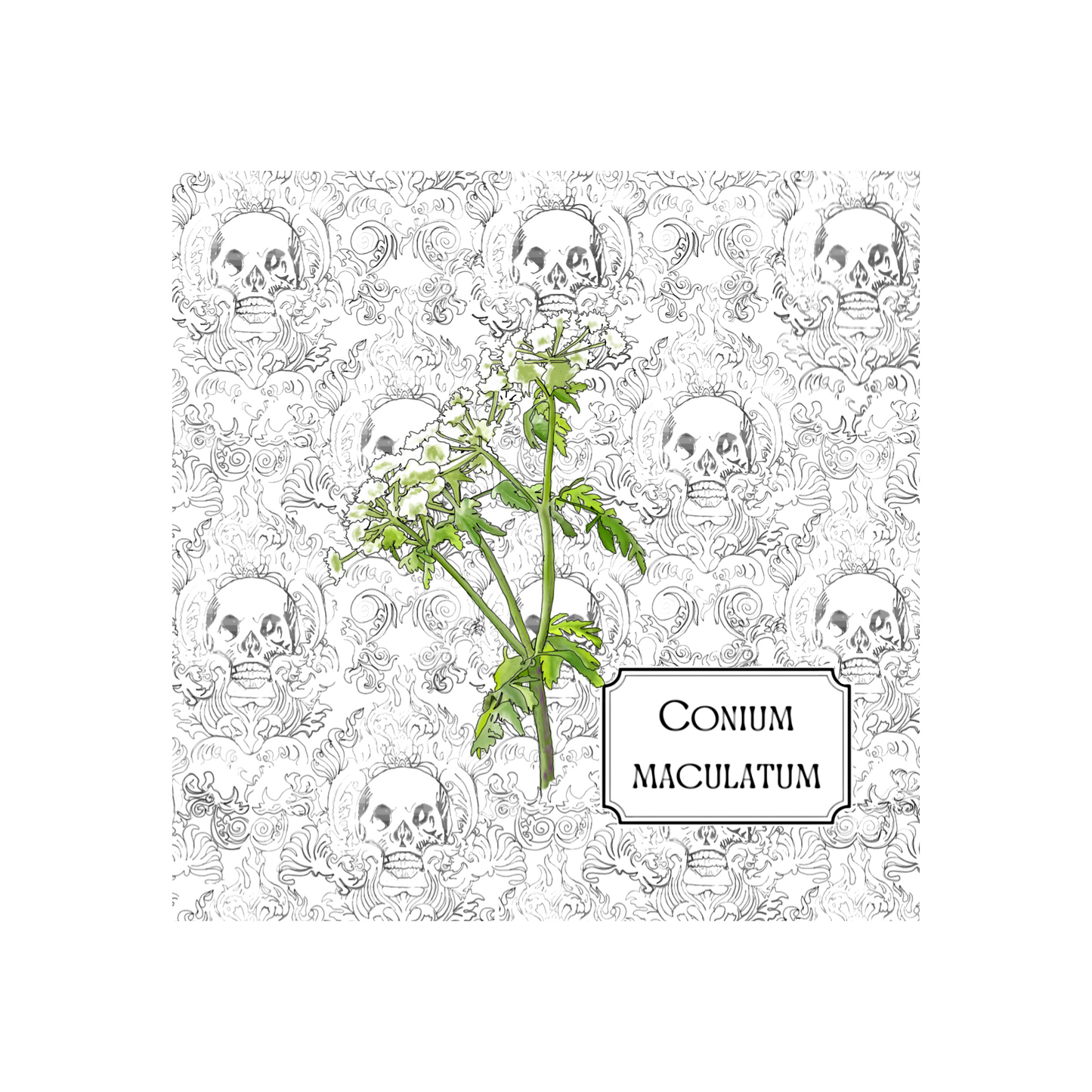 Poisonous Plants Greetings Card