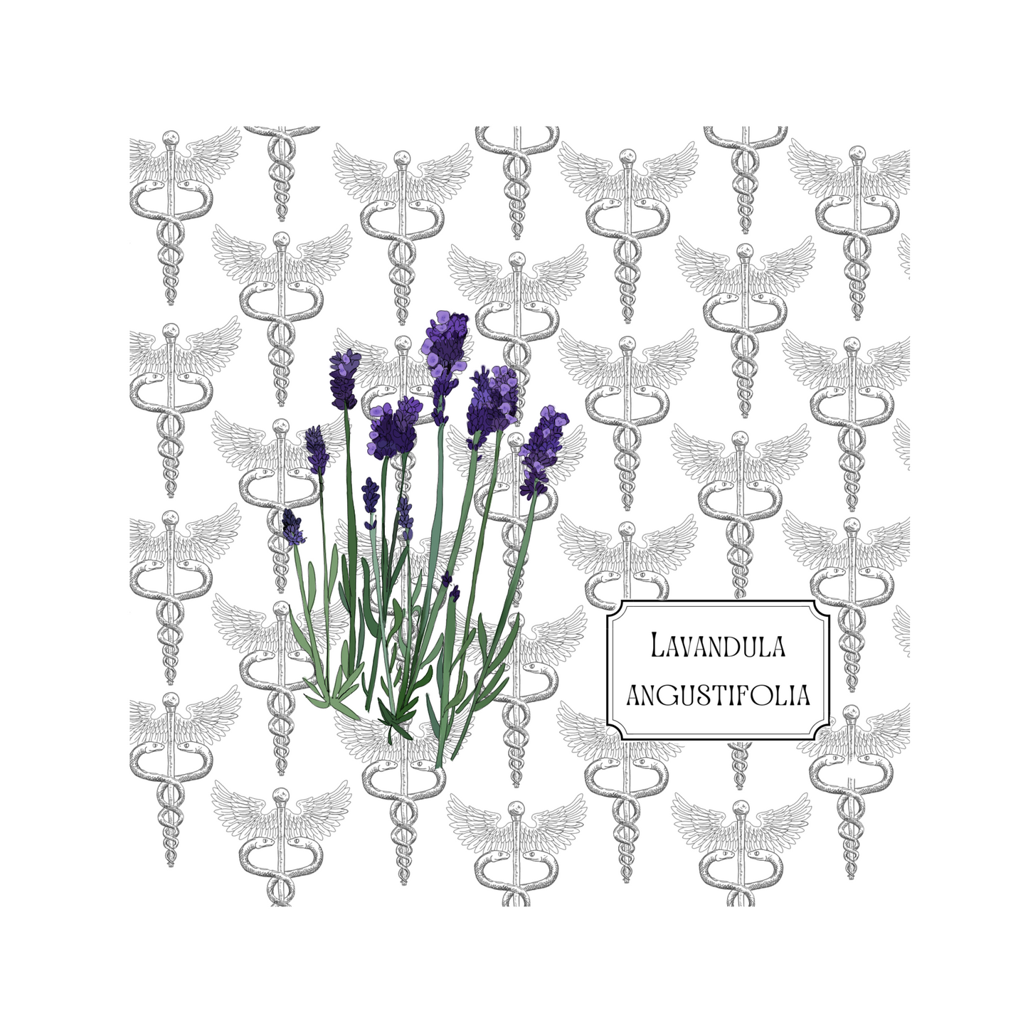 Healing Plants Greetings card